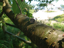 画像をギャラリービューアに読み込む, sterling silver japanese family kamon ring on tree branch in front of japanese resort